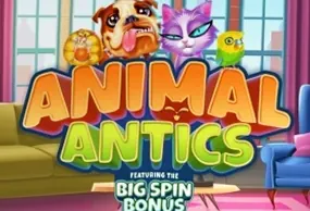 Animal Antics
