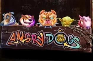 Angry Dogs